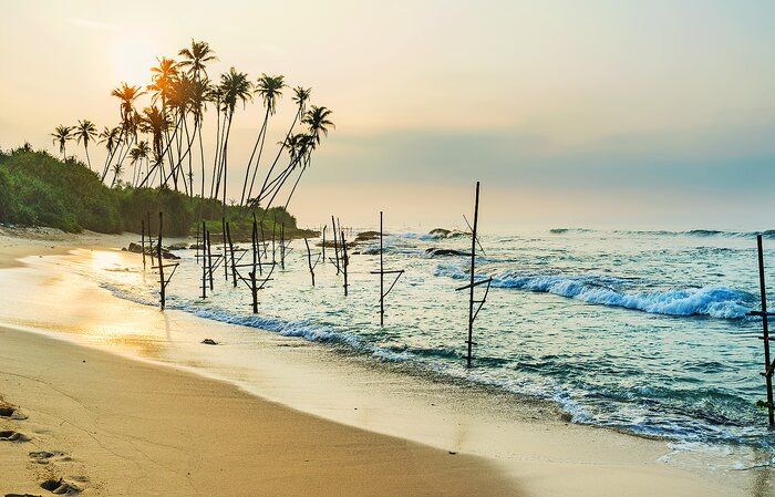 Traditional fishing stilt aparatus of Koggala Beach, Sri Lanka