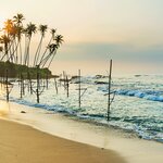 Traditional fishing stilt aparatus of Koggala Beach, Sri Lanka