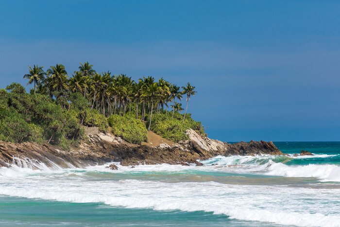 Ride the waves in Arugam Bay