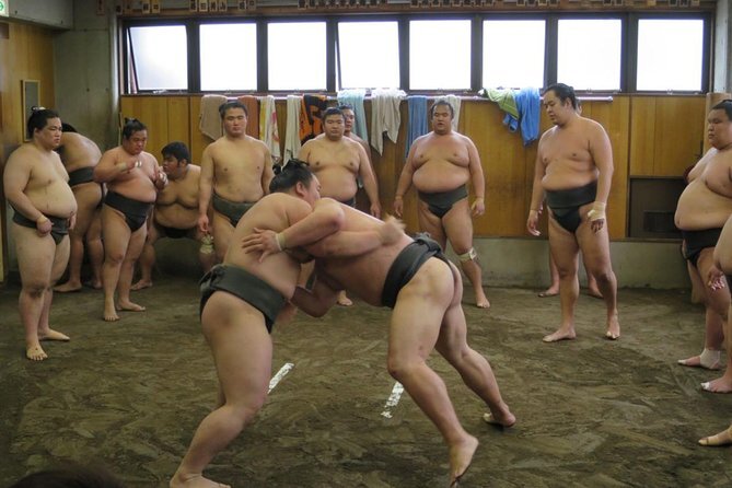 Tokyo Sumo Morning Practice in Ryogoku + Photo Shoot w/ Wrestlers