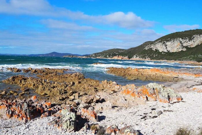 Tasmania Explorer - Day 2 The Tarkine/North-West Coast