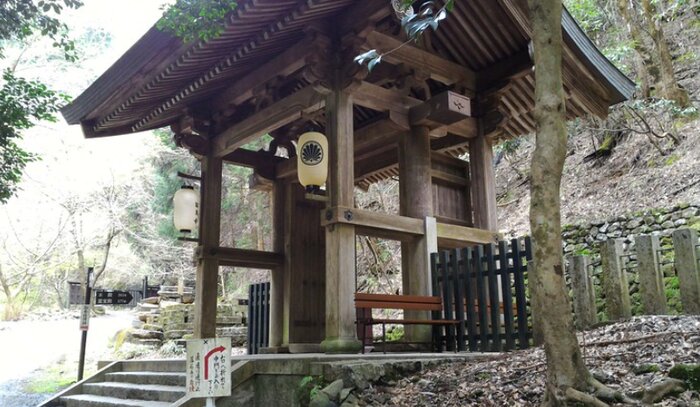 Kurama & Kibune Forest Hike – A Journey into Kyoto’s Spiritual Mountains (Private Guide, Public Transportation)