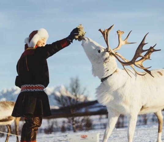 Reindeer & Sami Handicraft 