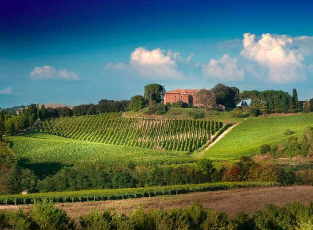 Montepulciano: Winery Tour & Tasting Experience