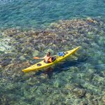 Kayak the crystal-clear waters of La Herradura