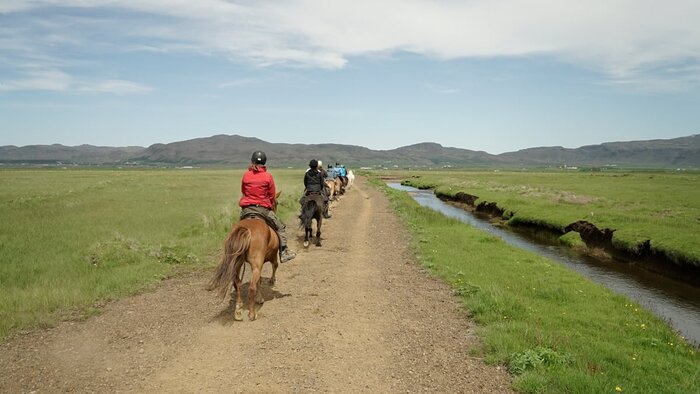 Scenic Meadow Horseback Ride