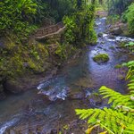 Explore the La Paz Waterfall Gardens Nature Park of hiking trails, waterfalls, and a wildlife sanctuary