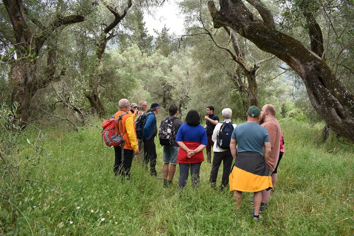 Olive Oil Tasting Experience