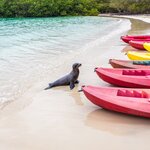 Kayak to the sea lions or let them come to you on your Galápagos holiday