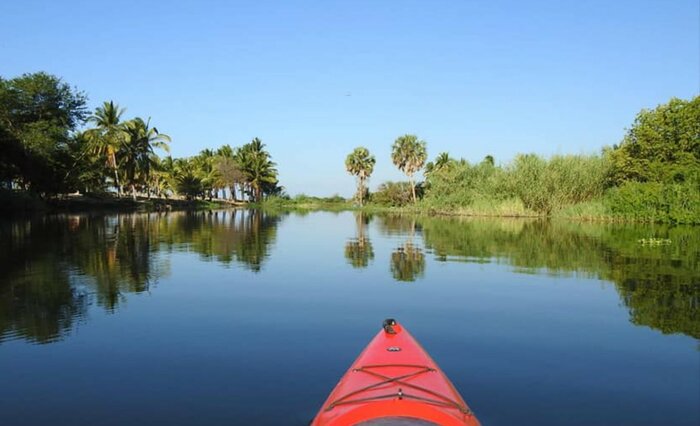 Kayaking in the Manialtepec Lagoon
