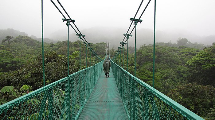 Hanging Bridges