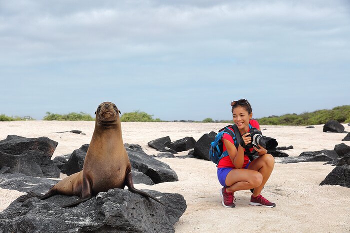 Meet Galápagos sea lions on your Galápagos island adventures