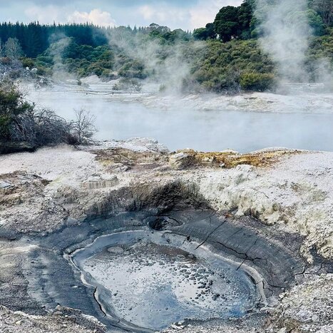 Hell's Gate Experience (Geothermal site and Mud Bath and Sulphur Spa)