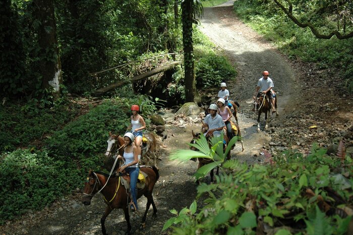Horseback Riding Tour