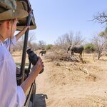On the lookout for the Big Five 