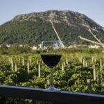 Wine Tasting on Hvar