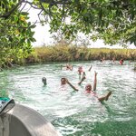 Swimming in a Yucatán jungle