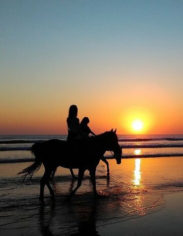 Horseback Riding on the Beach of Essaouira