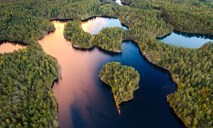Private Tour of Finland's Nuuskio National Park