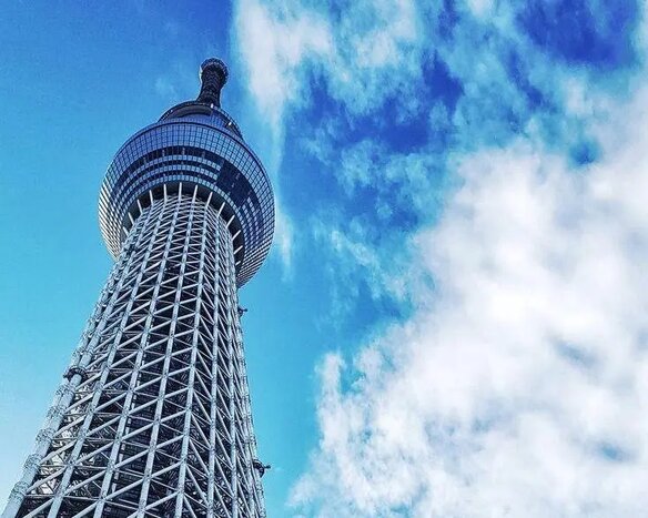 Explore East Tokyo: Full-Day Private Tour with Multilingual Guide