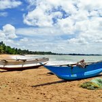 This whirlwind trip ends with two nights in the beach paradise of Tangalle