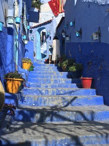 Afternoon Exploration of Morocco's Blue Pearl