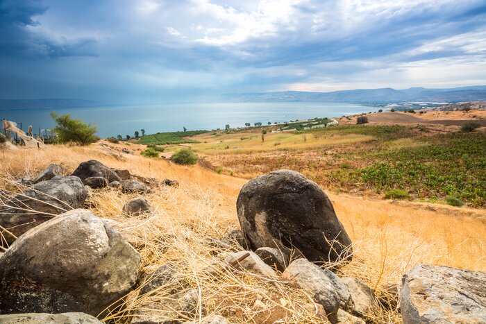 Take to Capernaum in July and visit Mount of Beatitudes for fews of the Sea of Galilee