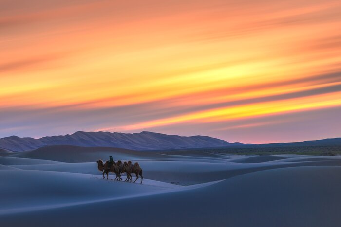 Experience the Gobi Desert like the local nomads with a guided camel ride across the dunes