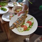 Seafood Tasting Walking Tour