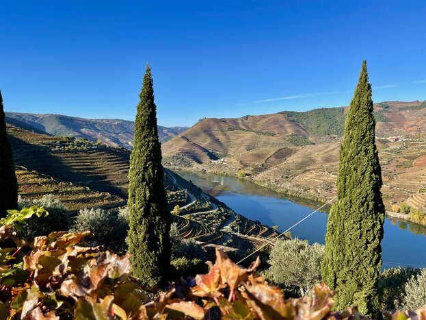 Picturesque wine terraces of the Douro Valley