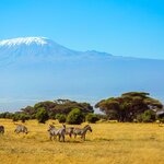 Tanzania's Mount Kilimanjaro in the distance