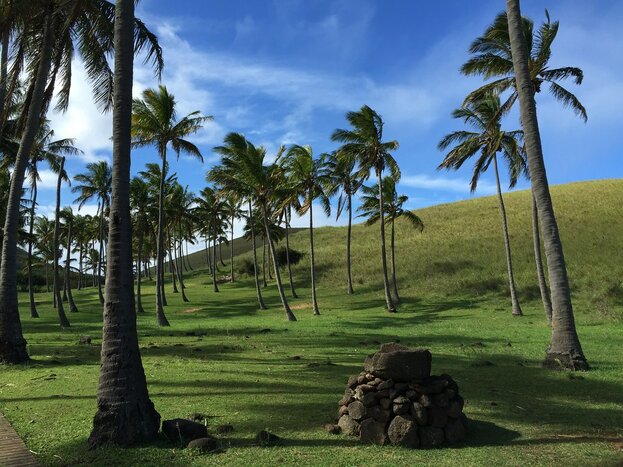 Rano Raraku Volcano & Anakena White Sand Beach - Private Tour