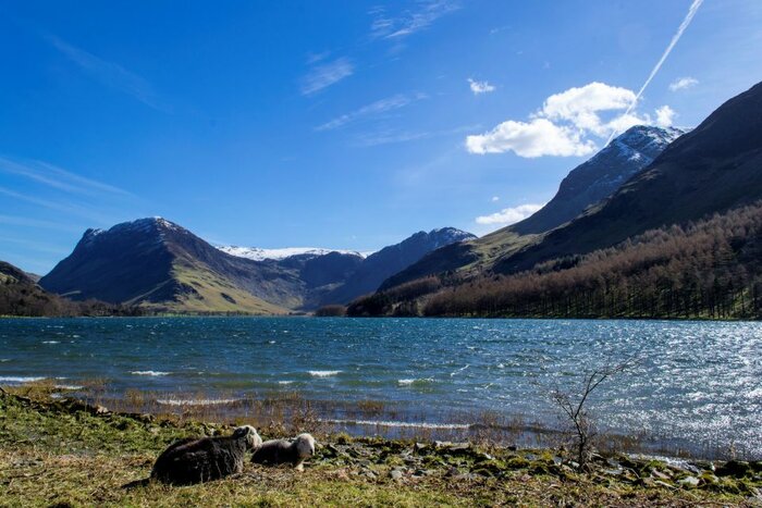 Ultimate Full Day Scenic Tour visiting 10 Lakes