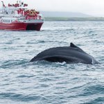 How to Get from the Snæfellsnes Peninsula to Akureyri