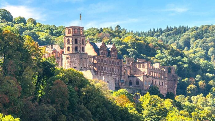 Heidelberg Old Town & Castle Tour