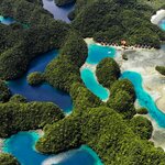 Explore the famous palm forests, hidden coves, and endless beaches on Siargao 