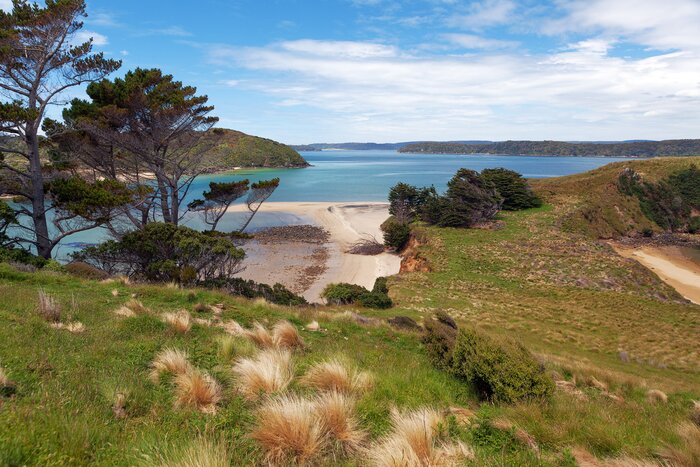 View of Native Island from Wohlers Lookout on Stewart Island / Rakiura