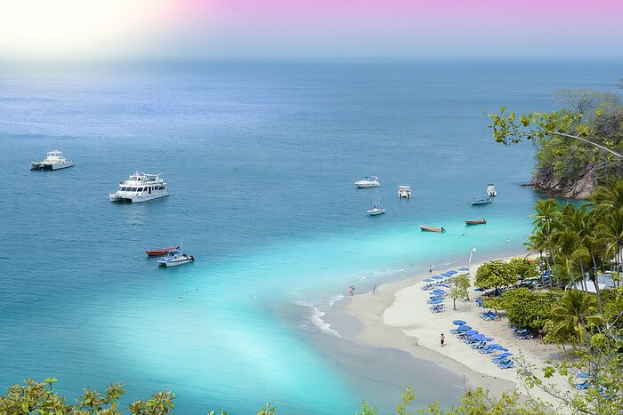 Snorkel through coral reefs on Tortuga Island