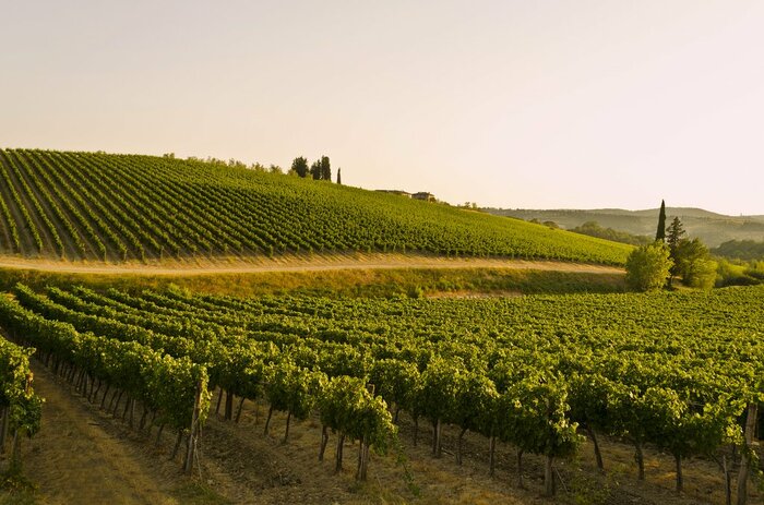 Private e-bike tour in the Tuscany Countryside with a cooking class experience, wine tasting and Tuscan lunch