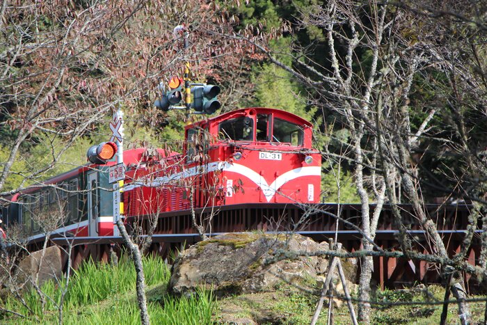 A Restful Mountain Retreat - Alishan National Scenic Area