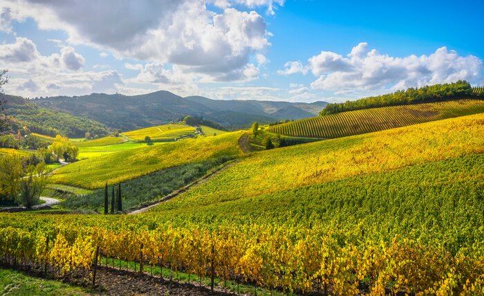 Tuscany by E-Bike Through Chianti’s Heart: From Radda to Volpaia