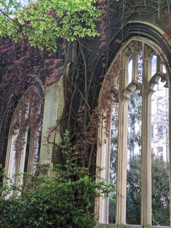 Secret Gardens of the City of London Private Tour