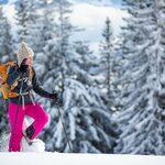 Ski, snowshoe, and sled your way through the beauty of the Swiss Alps in winter 