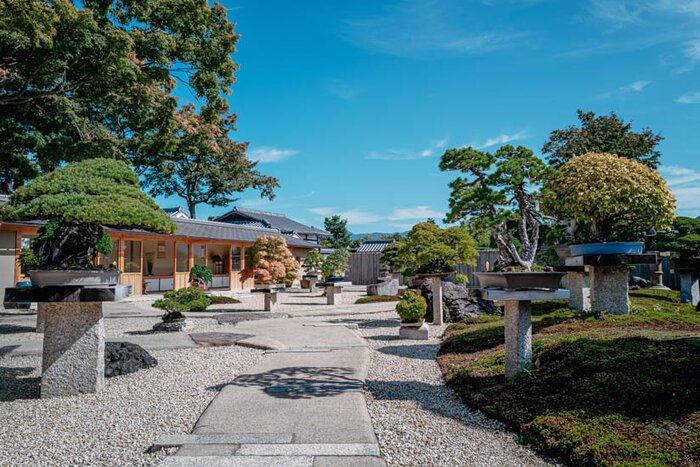 Bonsai Garden at Hoshun-in Temple (Daitokuji Temple)