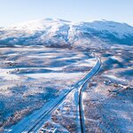 Enjoy Arctic adventures in Abisko National Park
