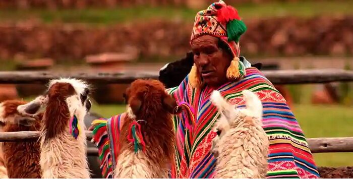 Awana Cancha Day Tour with Alpaca's Experience