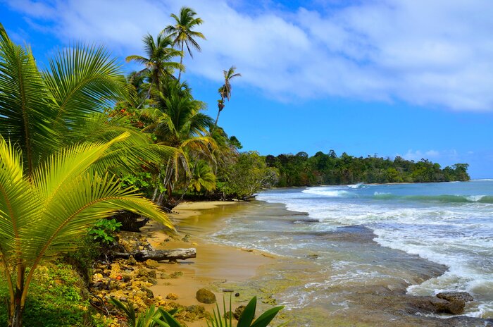 In five days you can experience island living in Bocas del Toro