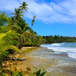 In five days you can experience island living in Bocas del Toro