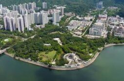 Driving to Tai Mo Shan and  Tai Po Waterfront Park  Visit