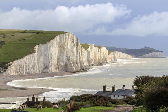 Private Seven Sisters & South Downs Way Hike